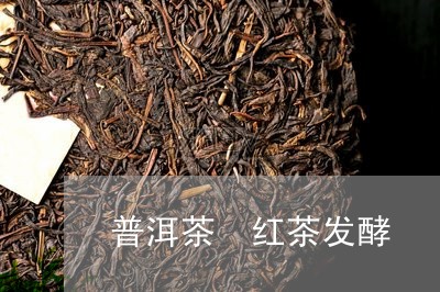 普洱茶 红茶发酵/2023041016282